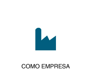 empresa-ong