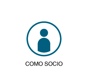 socio-ong